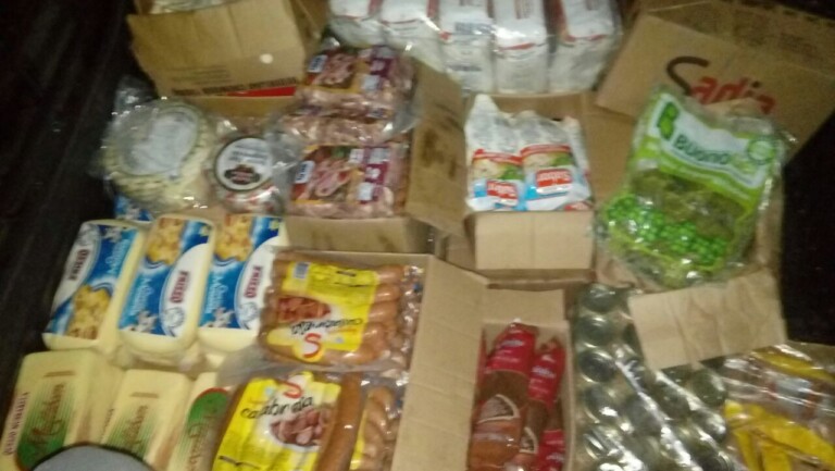 Onça é encontrada em empresa de Itapecerica da Serra