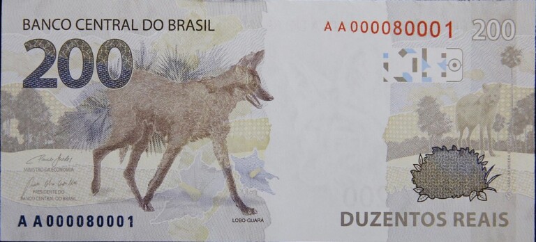 Dicas de lazer e entretenimento com exposições e atividades gratuitas
