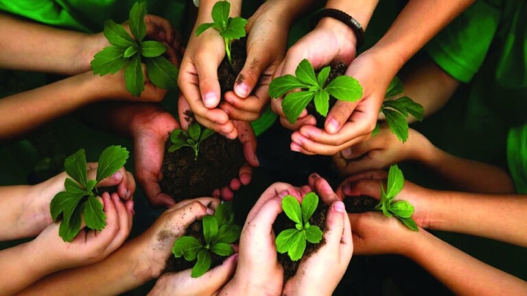 Junho Verde promove oficinas gratuitas de bioconstrução em Taboão da Serra